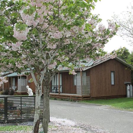 219 On Johns Motel & Holiday Park Christchurch Luaran gambar
